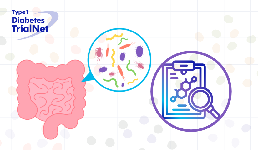 Image of intestines with a cropped circle showing a close up view of microrganisms in the microbiome. There is also another cropped circle with a magnifying glass examining data. TrialNet logo is in the top left corner.
