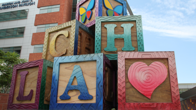 CHLA Blocks