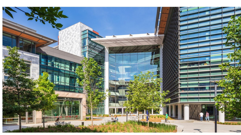 emory site picture